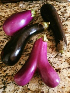 11222149_10207631862299323_1790313196942187848_o